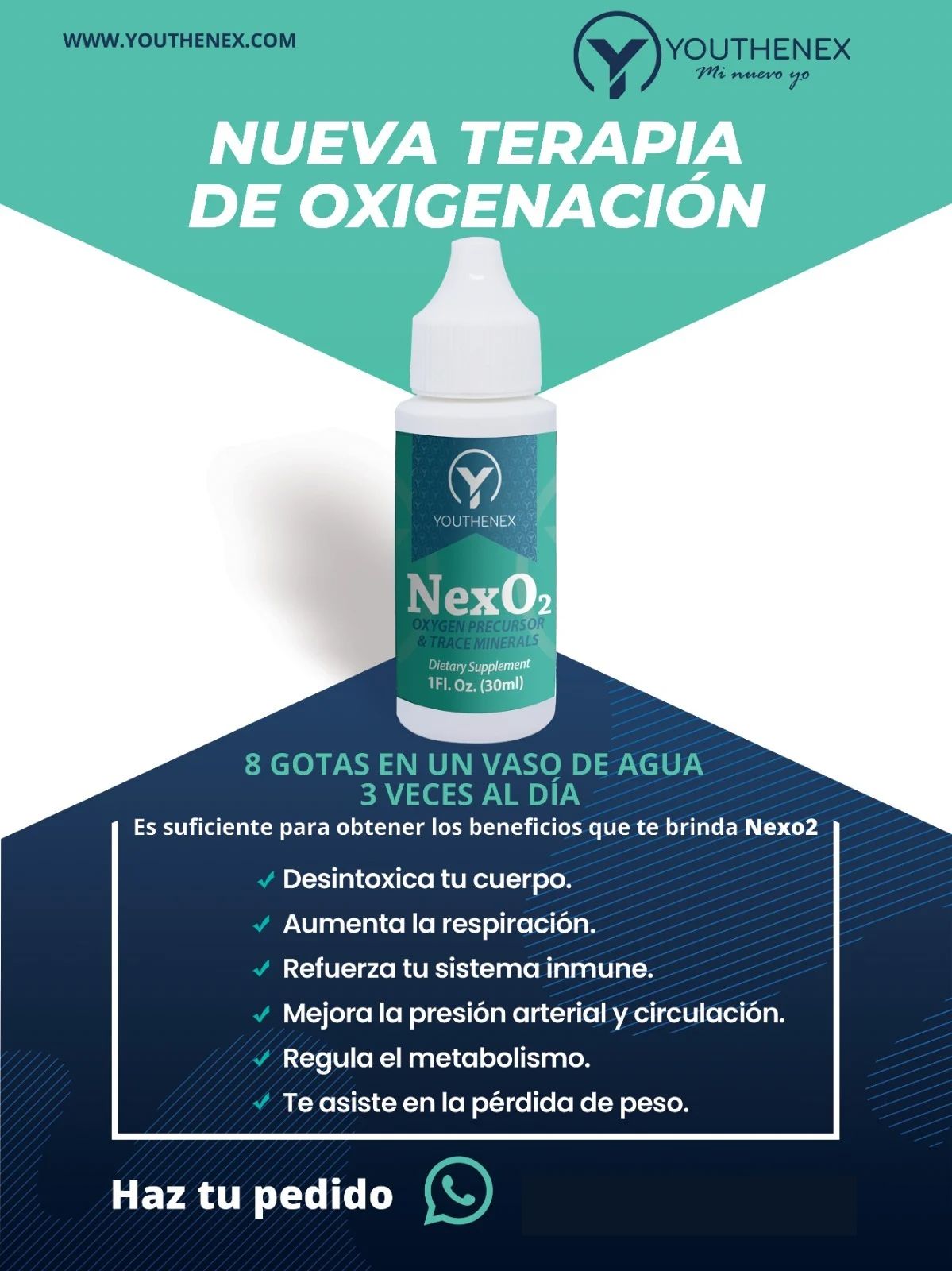 1 NEXO2